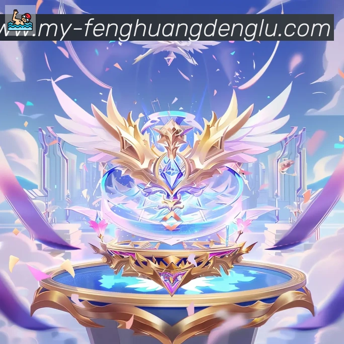 奖项证书